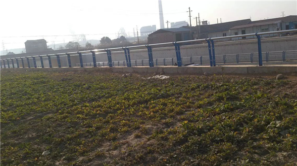 杭州不锈钢河道护栏